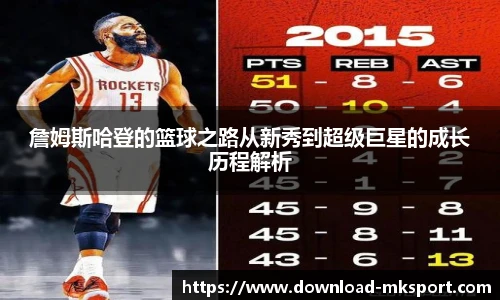 mk体育官网