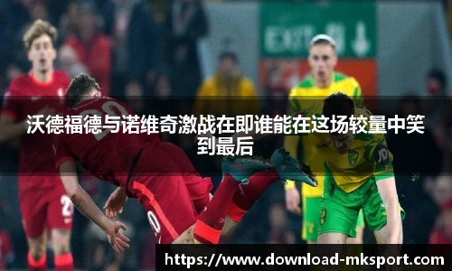 mk体育官网首页